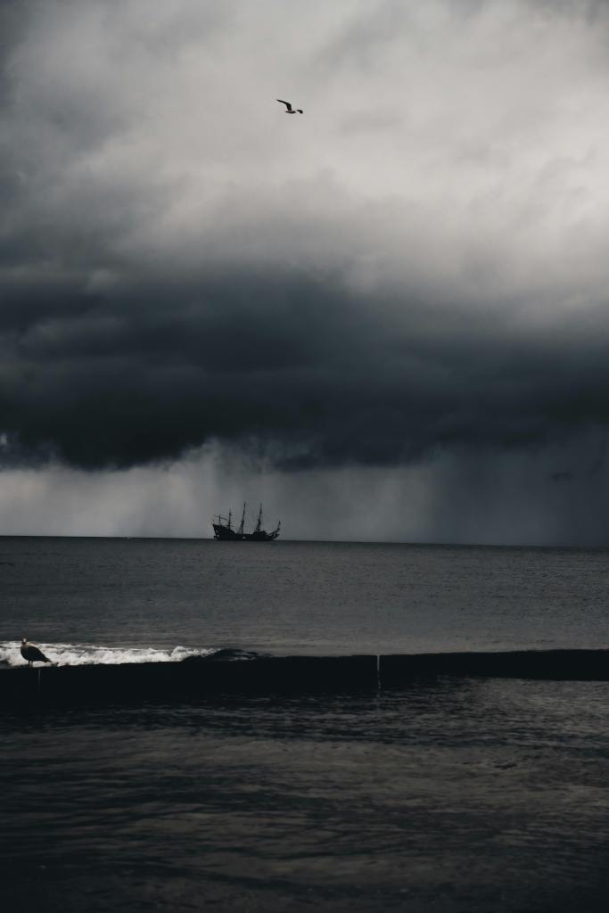Photo by Katia Miasoed
A lone ship on a stormy sea